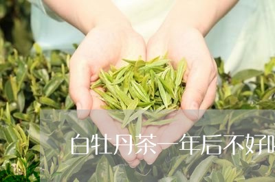 白牡丹茶一年后不好喝/2023120983917