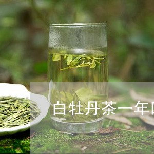 白牡丹茶一年四季/2023090542694