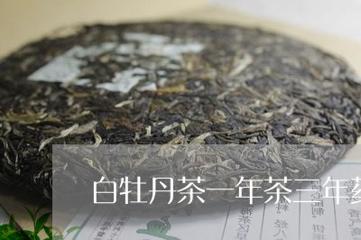 白牡丹茶一年茶三年药/2023120953816