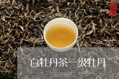 白牡丹茶一级牡丹/2023090661592