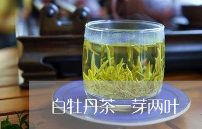 白牡丹茶一芽两叶/2023090592626