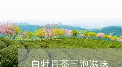 白牡丹茶三泡滋味/2023090539480