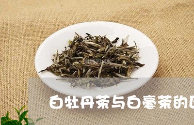 白牡丹茶与白毫茶的区别/2023092287370