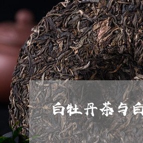 白牡丹茶与白茶区别/2023091447162