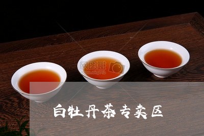 白牡丹茶专卖区/2023112323939