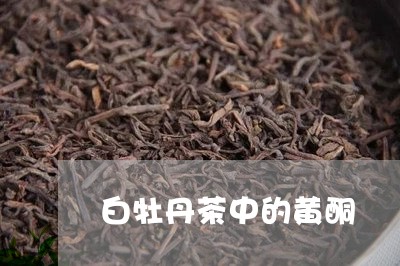 白牡丹茶中的黄酮/2023090657261