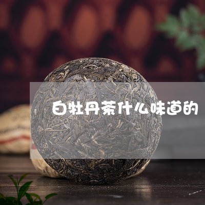 白牡丹茶什么味道的/2023091480494