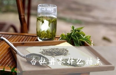 白牡丹茶什么特点/2023090676069