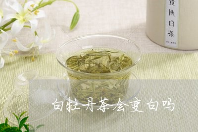 白牡丹茶会变白吗/2023090695049