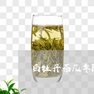 白牡丹茶几年陈/2023112392028