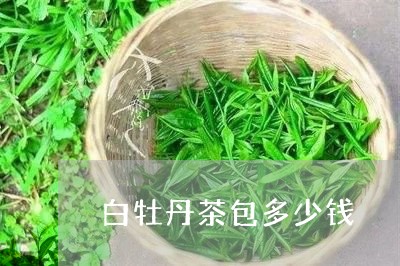 白牡丹茶包多少钱/2023090600592