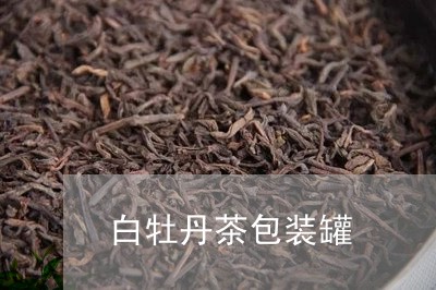 白牡丹茶包装罐/2023112395029