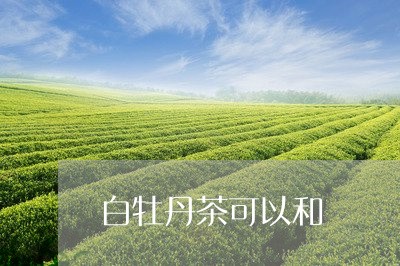 白牡丹茶可以和/2023112386258