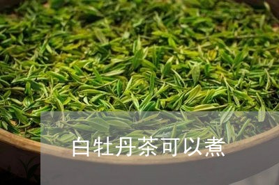 白牡丹茶可以煮/2023060346939