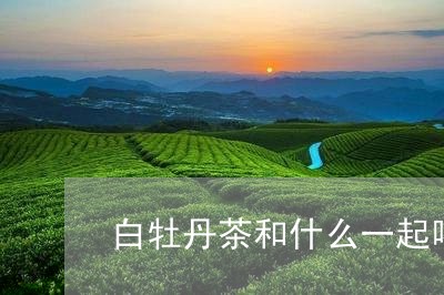 白牡丹茶和什么一起喝/2023120994158