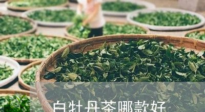 白牡丹茶哪款好/2023060319373