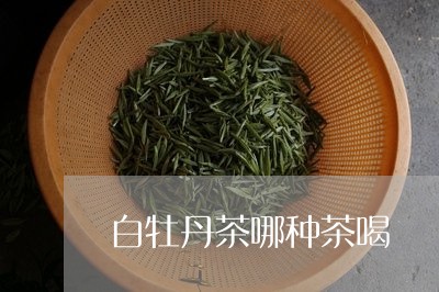 白牡丹茶哪种茶喝/2023120902726