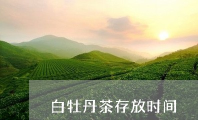 白牡丹茶存放时间/2023090604727