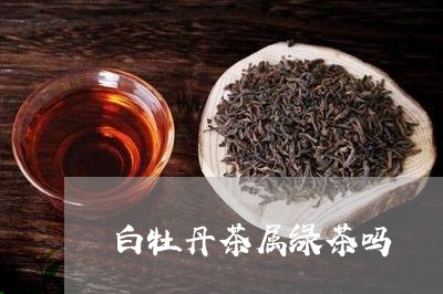 白牡丹茶属绿茶吗/2023090641582