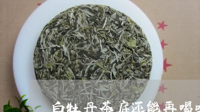 白牡丹茶底还能再喝吗/2023120928258