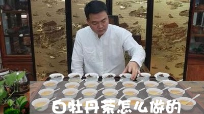 白牡丹茶怎么做的/2023090634047