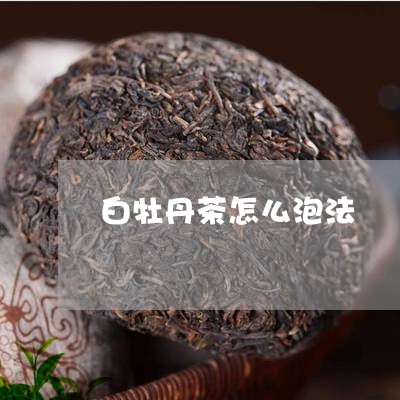 白牡丹茶怎么泡法/2023090673248