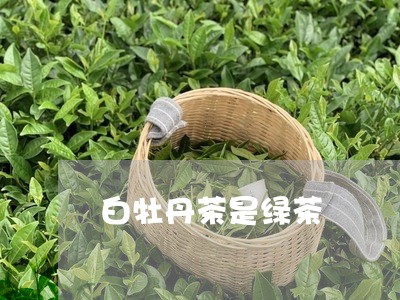 白牡丹茶是绿茶/2023112324846