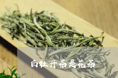 白牡丹茶是花茶/2023060334249