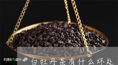 白牡丹茶有什么坏处/2023091460383