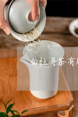 白牡丹茶有股什么味道/2023120962717