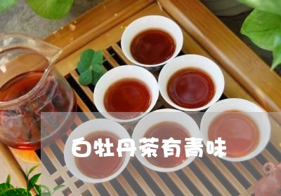 白牡丹茶有青味/2023060320424