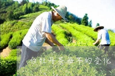 白牡丹茶每年的变化/2023120562915