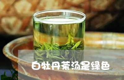 白牡丹茶汤是绿色/2023090606169