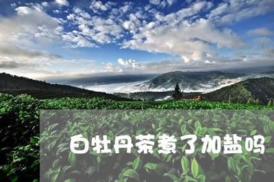 白牡丹茶煮了加盐吗/2023072171604