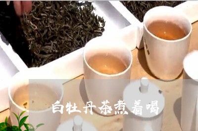 白牡丹茶煮着喝/2023112369261