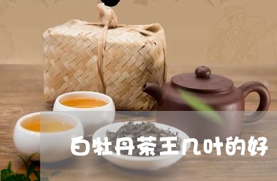 白牡丹茶王几叶的好/2023091385158