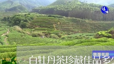 白牡丹茶珍藏佳品多少钱/2023092253936