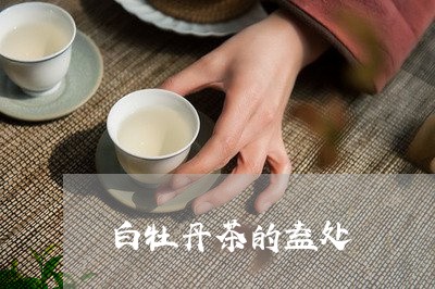 白牡丹茶的益处/2023112370272