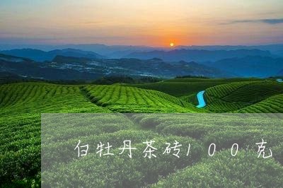 白牡丹茶砖100克/2023091463714