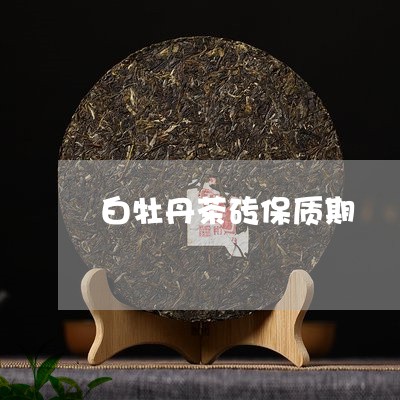 白牡丹茶砖保质期/2023090530050