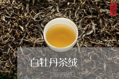 白牡丹茶绒/2023082758472