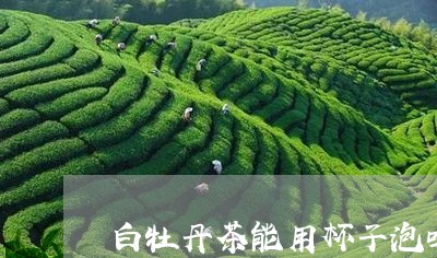 白牡丹茶能用杯子泡吗/2023120986047