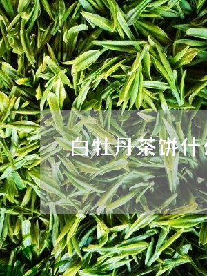 白牡丹茶饼什么价位/2023120589580