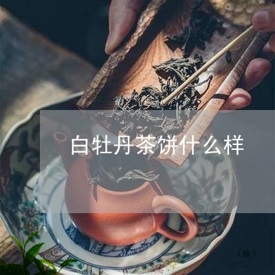 白牡丹茶饼什么样/2023090678159