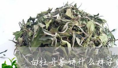 白牡丹茶饼什么样子的好/2023092316037