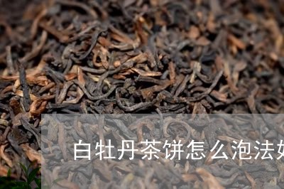 白牡丹茶饼怎么泡法好喝/2023092323716