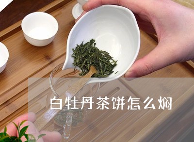 白牡丹茶饼怎么焖/2023090539273