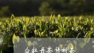 白牡丹茶饼新茶/2023112341715