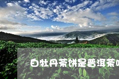 白牡丹茶饼是普洱茶吗/2023073142037