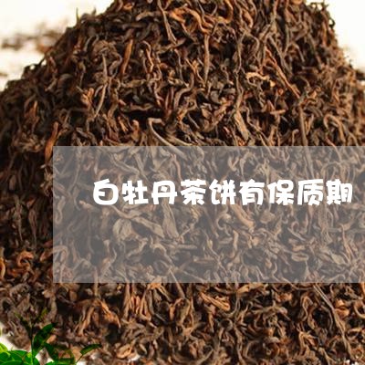 白牡丹茶饼有保质期/2023120599382